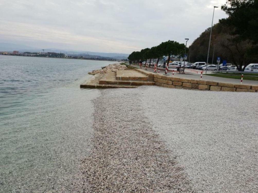 Sobe Al Moletto Apartamento Koper Exterior foto